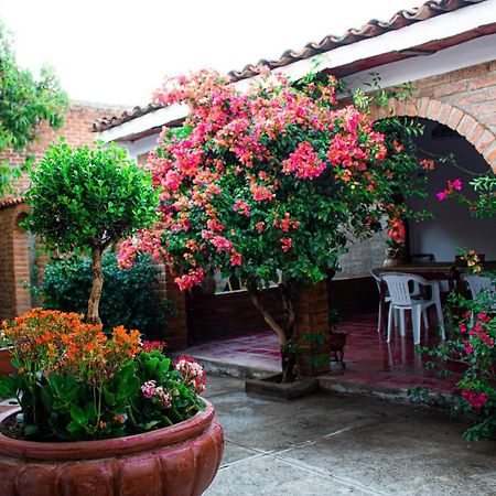 Villa Flores, Casa En El Centro De Mascota Esterno foto