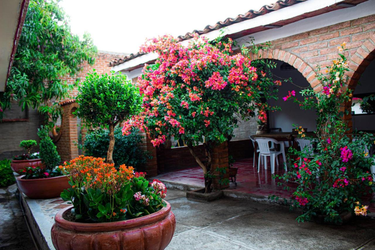 Villa Flores, Casa En El Centro De Mascota Esterno foto